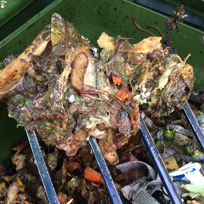 FAQs Wormlovers worm farms