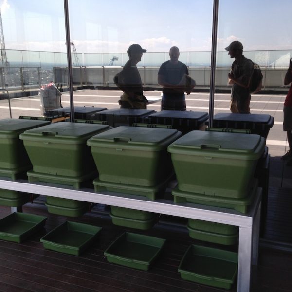 Commercial Wormlovers worm farms