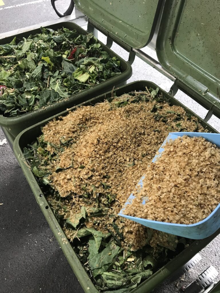 Cold weather worm farm management Wormlovers worm farms