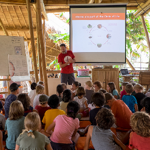 Worm farms for schools