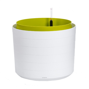 Berberis 55 self-watering planter