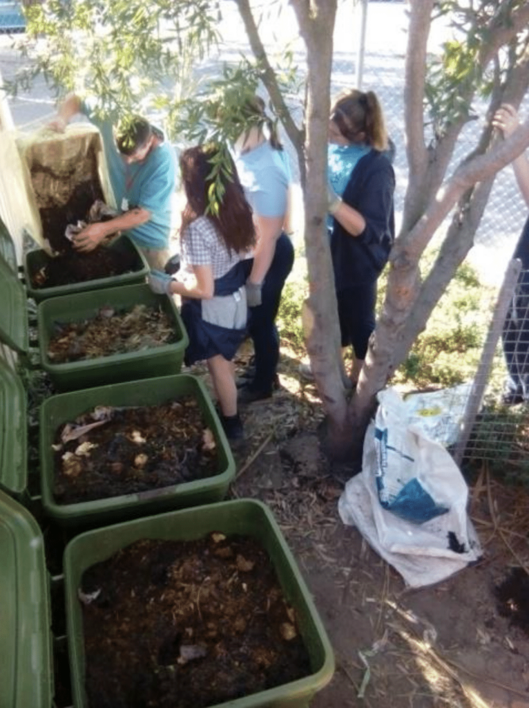 Marnebek school’s five hungry bin worm farm composting program Wormlovers worm farms